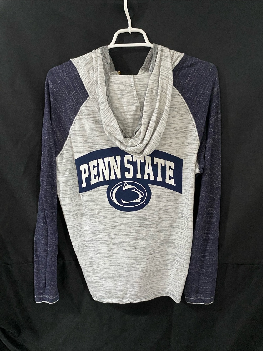 Penn State Men's Hooded Raglan Sweatshirt - Gray and Navy